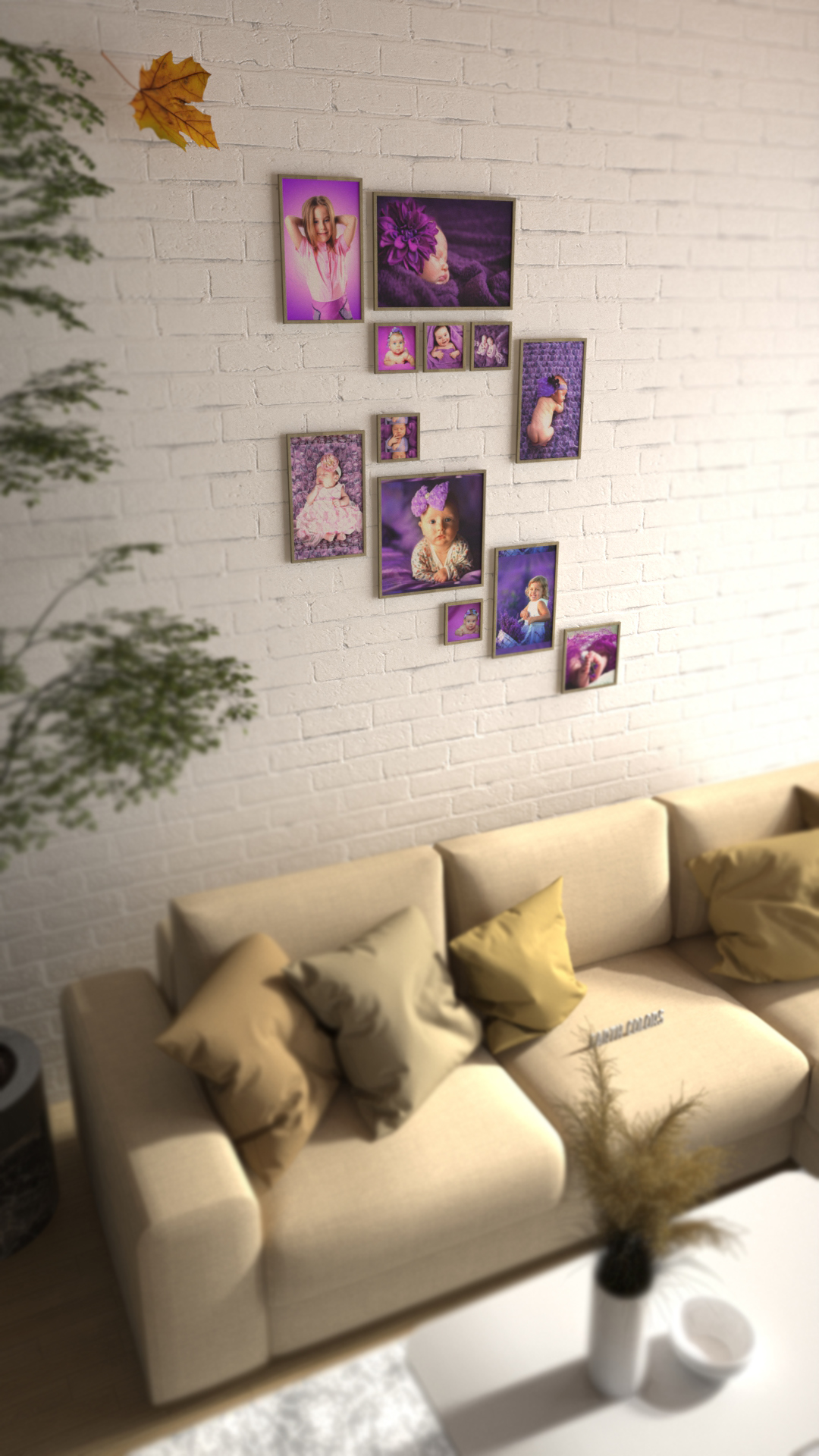 Digital picture frames